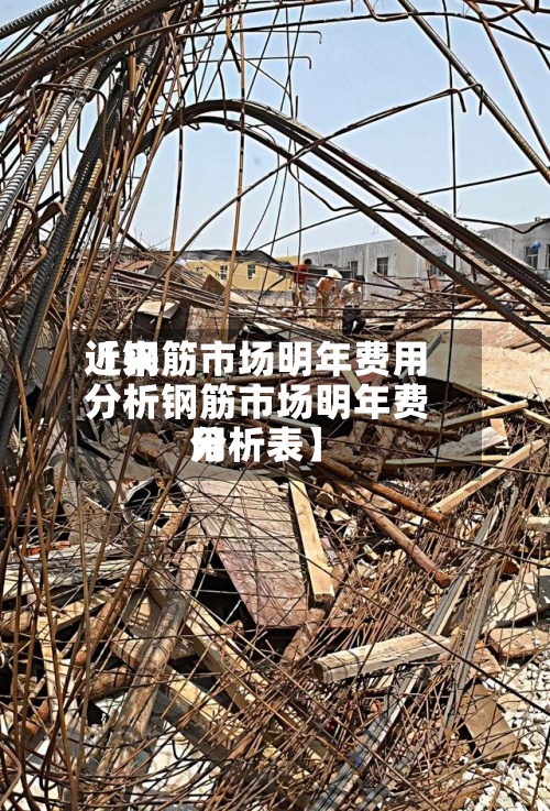 近来【钢筋市场明年费用分析钢筋市场明年费用分析表】