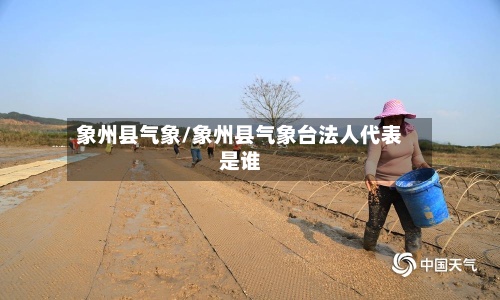 象州县气象/象州县气象台法人代表是谁