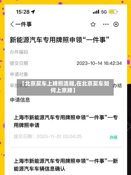 【北京买车上牌照流程,在北京买车如何上京牌】-第2张图片