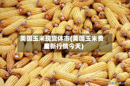美国玉米现货休市(美国玉米费用最新行情今天)-第2张图片