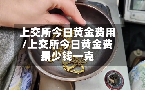 上交所今日黄金费用/上交所今日黄金费用多少钱一克