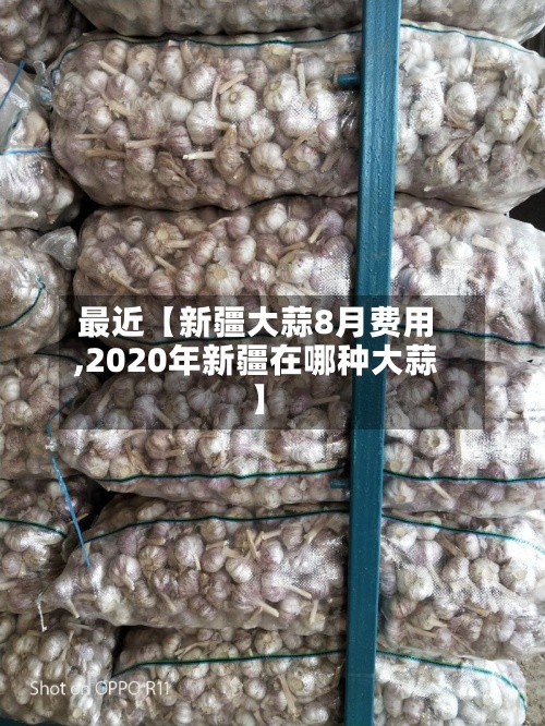 最近【新疆大蒜8月费用,2020年新疆在哪种大蒜】