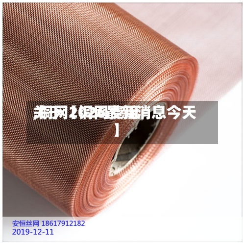 关于【铜网费用,铜网2026最新消息今天】