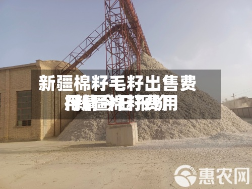 新疆棉籽毛籽出售费用/新疆棉籽费用行情今日报价-第3张图片