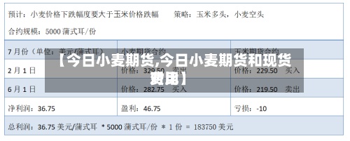 【今日小麦期货,今日小麦期货和现货费用
对比】-第2张图片