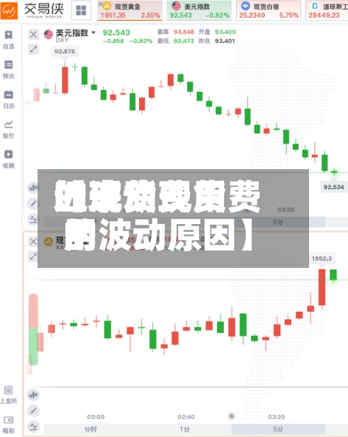 近来【现货费用的波动现货费用的波动原因】-第2张图片