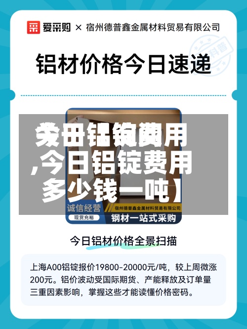 关于【询问今日铝锭费用,今日铝锭费用多少钱一吨】-第3张图片