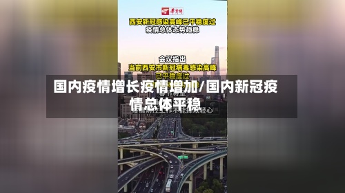 国内疫情增长疫情增加/国内新冠疫情总体平稳-第2张图片