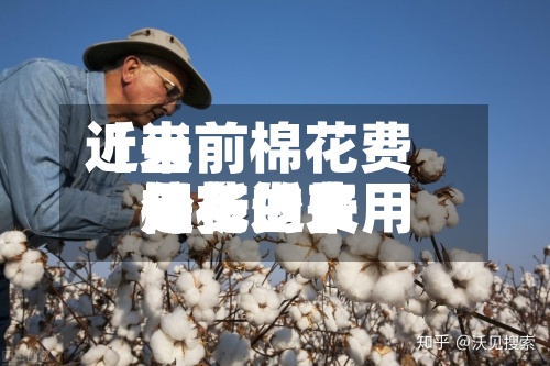 近来【当前棉花费用分析近来棉花的费用是多少】