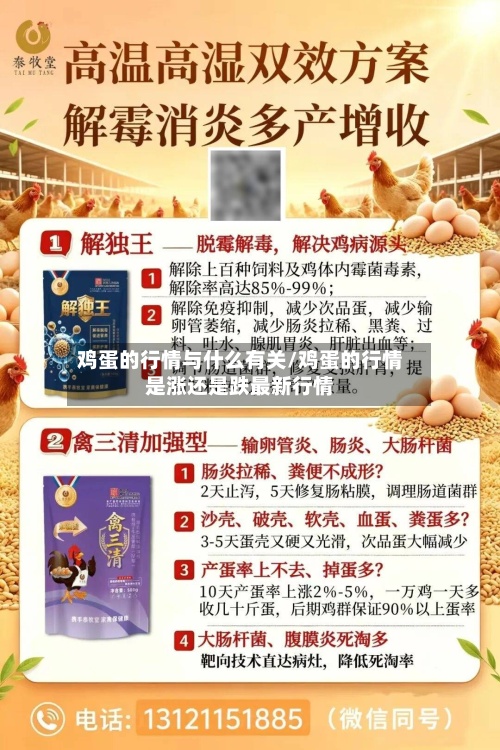 鸡蛋的行情与什么有关/鸡蛋的行情是涨还是跌最新行情
