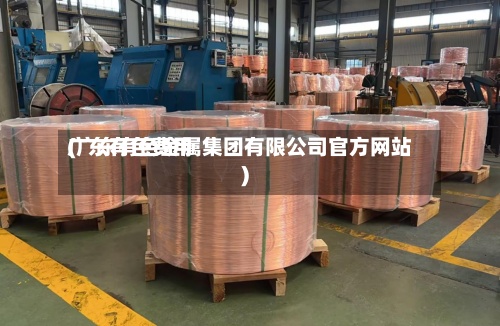 广东有色费用(广东有色金属集团有限公司官方网站)-第2张图片
