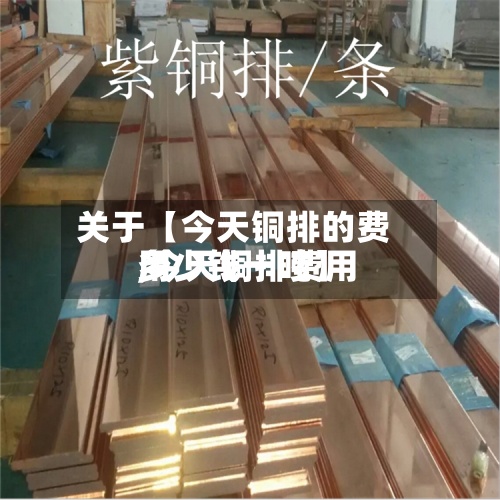 关于【今天铜排的费用,今天铜排费用多少钱一吨】-第2张图片
