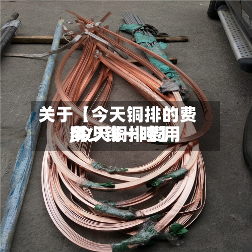 关于【今天铜排的费用,今天铜排费用多少钱一吨】