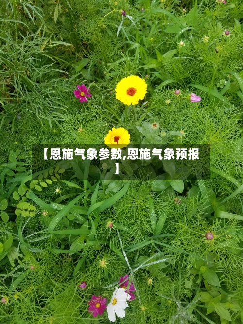 【恩施气象参数,恩施气象预报】-第3张图片