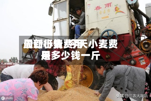 周口小麦费用最新行情/今天小麦费用是多少钱一斤-第2张图片