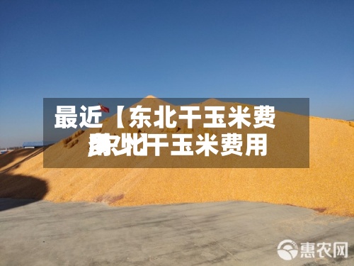 最近【东北干玉米费用,东北干玉米费用多少】-第2张图片
