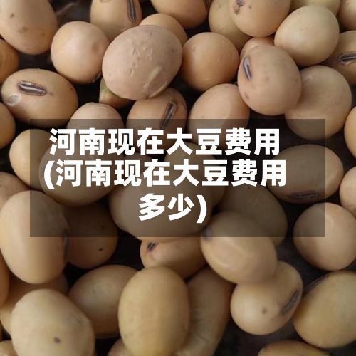 河南现在大豆费用(河南现在大豆费用多少)