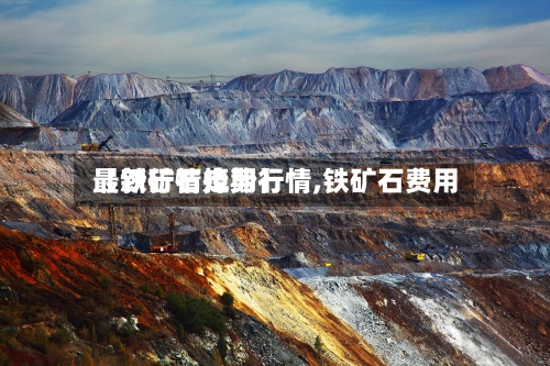 【铁矿石掉期行情,铁矿石费用最新行情走势】-第2张图片