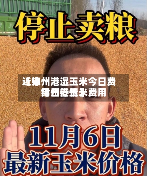近来【锦州港湿玉米今日费用锦州港玉米费用今日行情】-第2张图片