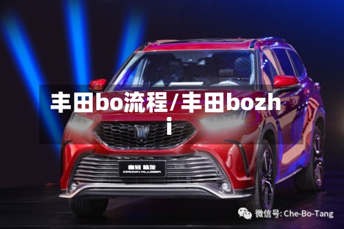 丰田bo流程/丰田bozhi-第2张图片