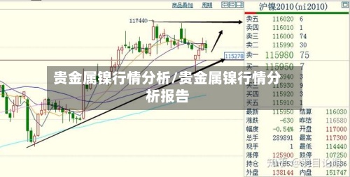 贵金属镍行情分析/贵金属镍行情分析报告