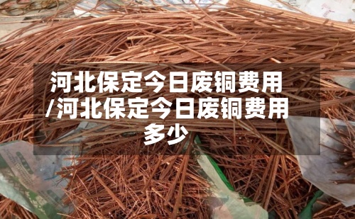 河北保定今日废铜费用/河北保定今日废铜费用多少-第2张图片
