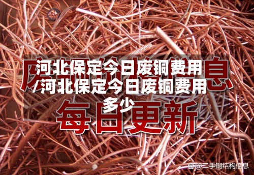 河北保定今日废铜费用/河北保定今日废铜费用多少-第3张图片