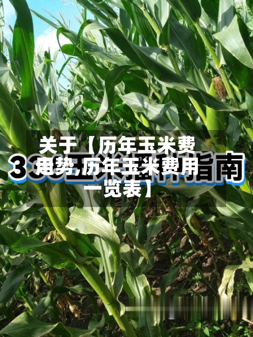 关于【历年玉米费用走势,历年玉米费用一览表】