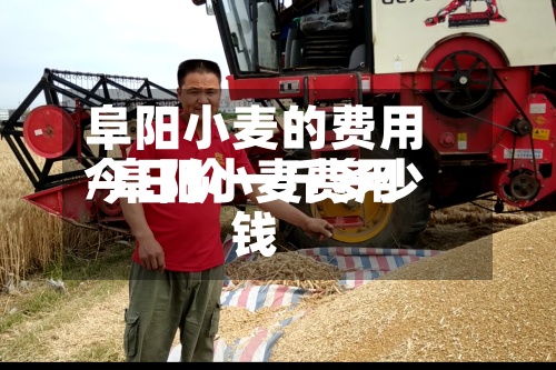 阜阳小麦的费用/阜阳小麦费用今日价一斤多少钱-第2张图片