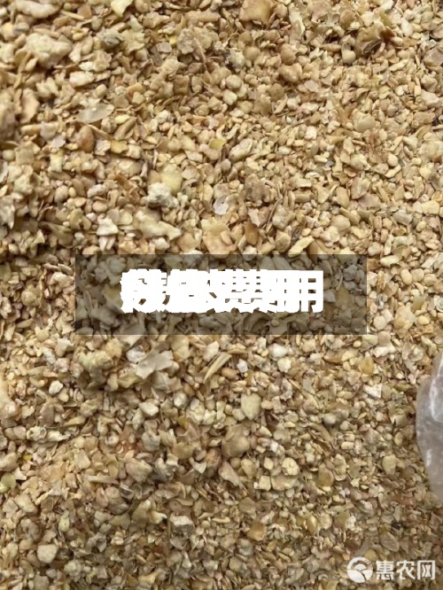 麸皮费用今日费用/麸皮费用今日费用行情