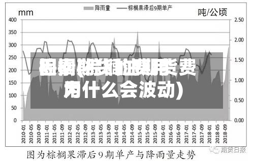 棕榈期货的费用因素(棕榈油期货费用为什么会波动)-第2张图片