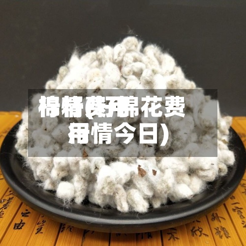 棉籽费用行情(籽棉花费用行情今日)-第2张图片