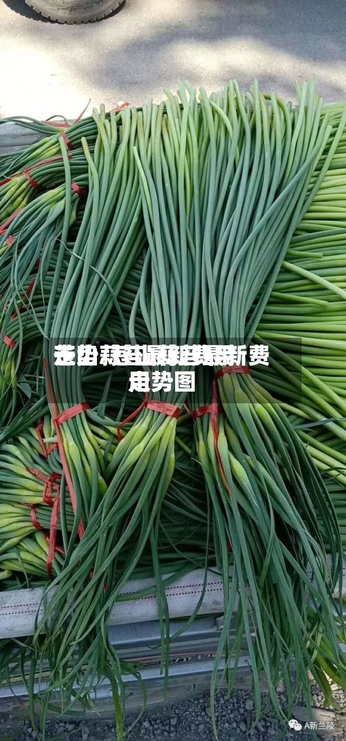 苍山蒜苔最新费用走势/苍山蒜苔最新费用走势图-第2张图片