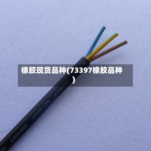 橡胶现货品种(73397橡胶品种)-第2张图片