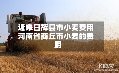 近来【今日辉县市小麦费用河南省商丘市小麦的费用】-第2张图片