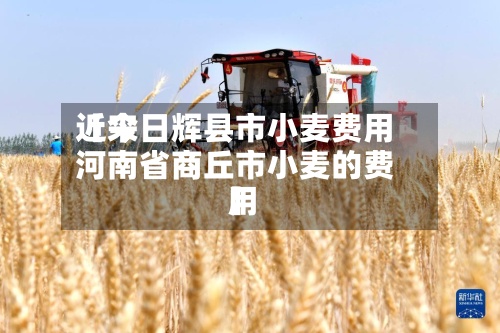 近来【今日辉县市小麦费用河南省商丘市小麦的费用】-第3张图片