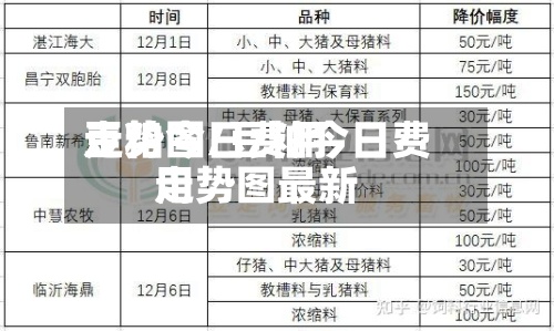 豆粕今日费用走势图/豆粕今日费用走势图最新