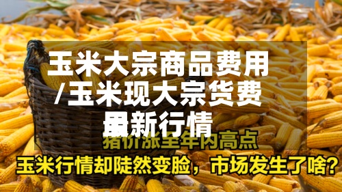 玉米大宗商品费用/玉米现大宗货费用最新行情