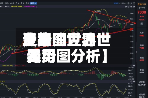 近来【豆油世界费用走势图豆油世界费用走势图分析】-第2张图片