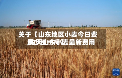 关于【山东地区小麦今日费用,今天山东小麦最新费用多少钱一斤】
