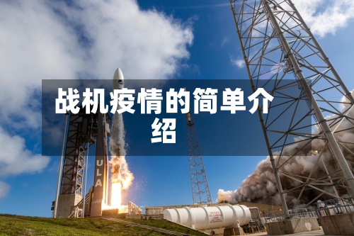 战机疫情的简单介绍-第2张图片