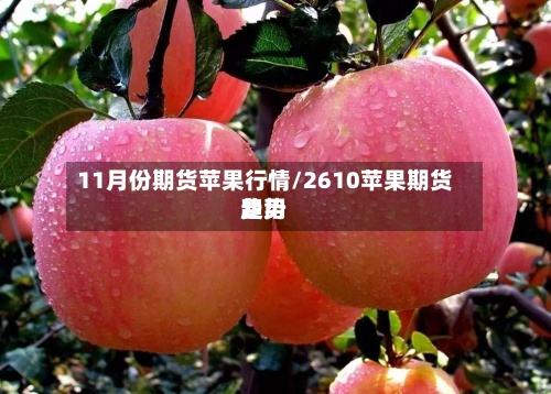 11月份期货苹果行情/2610苹果期货费用趋势-第2张图片