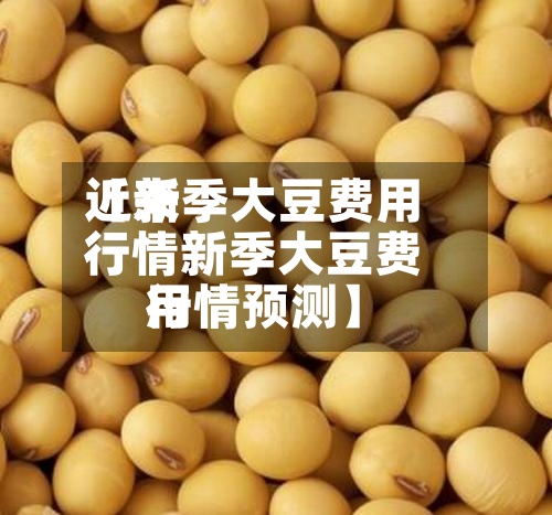 近来
【新季大豆费用
行情新季大豆费用
行情预测】-第3张图片