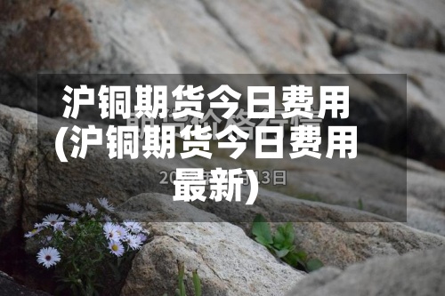 沪铜期货今日费用(沪铜期货今日费用最新)-第2张图片
