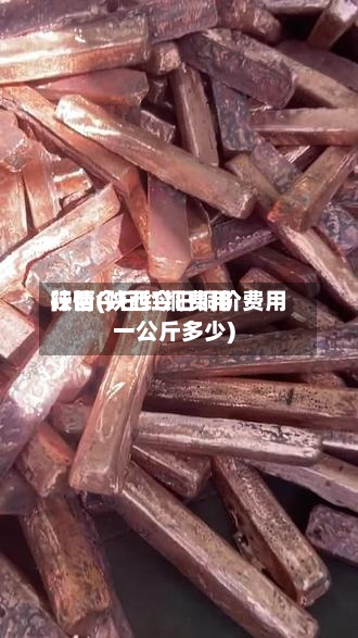 陕西今日红铜费用行情(陕西今日铜价费用一公斤多少)-第2张图片