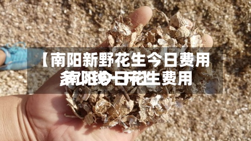 【南阳新野花生今日费用,南阳今日花生费用多少钱一斤】