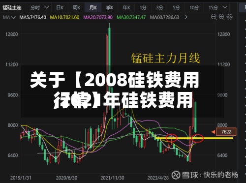 关于【2008硅铁费用,2021年硅铁费用行情】-第2张图片