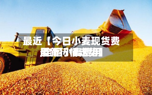 最近【今日小麦现货费用,全国小麦费用最新行情走势】