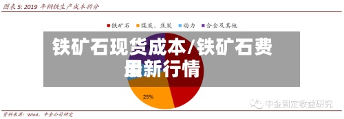 铁矿石现货成本/铁矿石费用最新行情-第2张图片