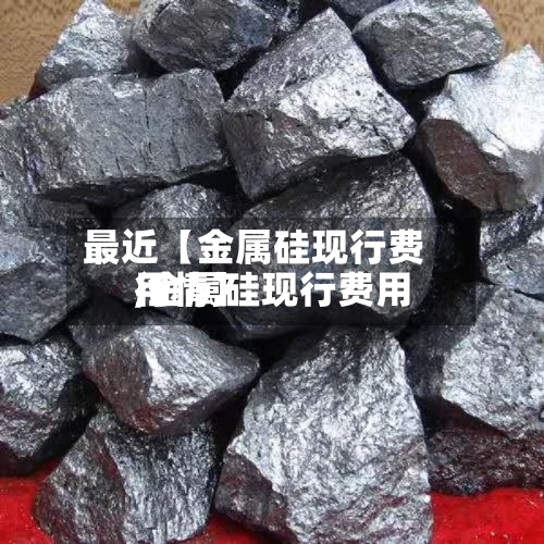 最近【金属硅现行费用,金属硅现行费用行情】-第2张图片